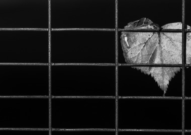 Lonely heart by Ivan _CC BY 2.0