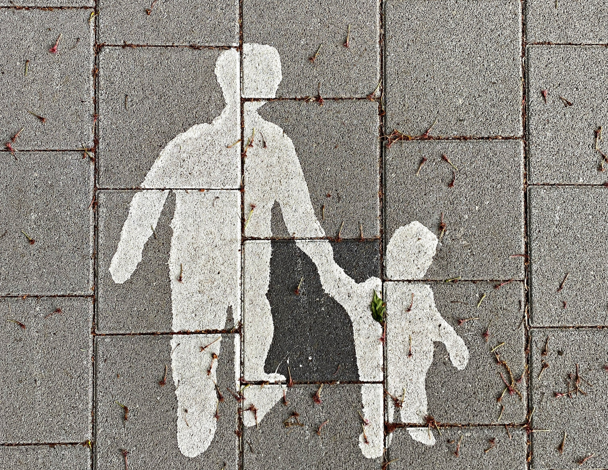 suzi-kim-adpvazshqdu-unsplash_1.jpg